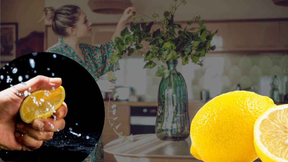 Comment parfumer sa maison grâce à du citron
