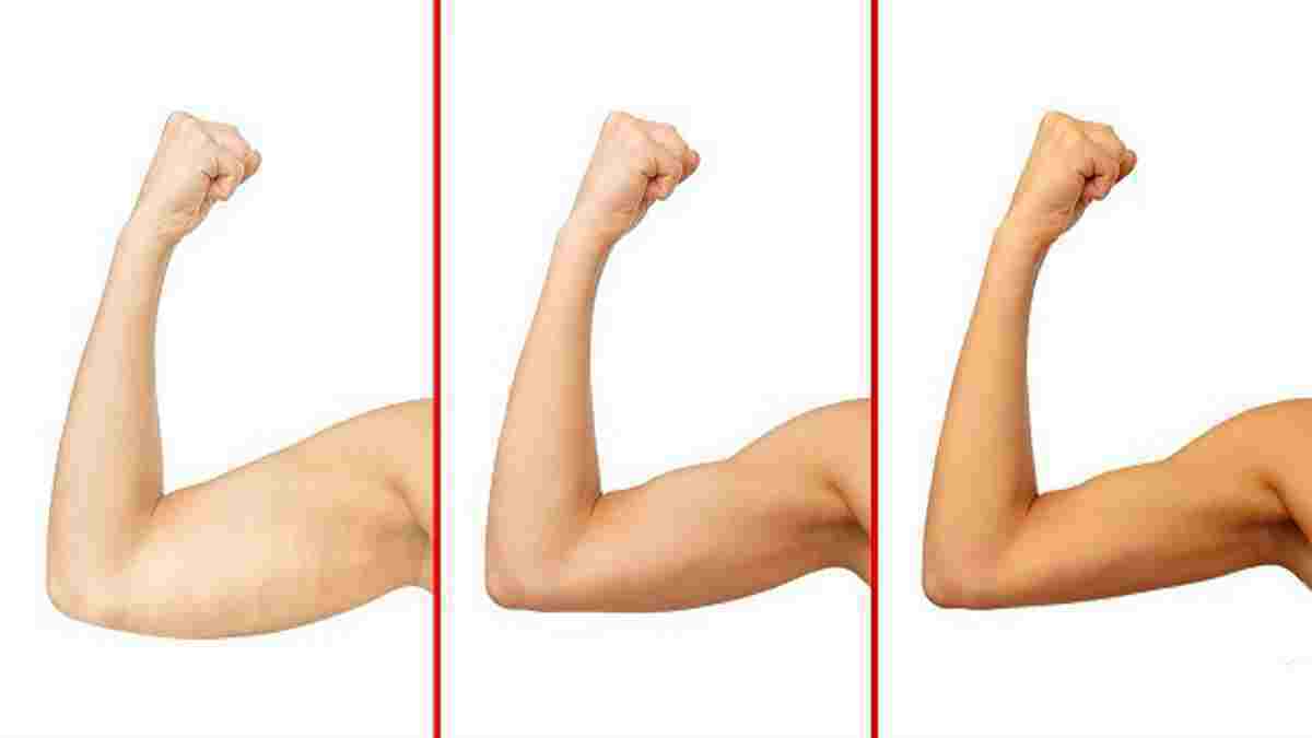 Comment perdre la graisse des bras en 1 mois ? 5 exercices à faire pour atteindre cet objectif !