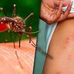 Voici pourquoi les moustiques sont attirés par des personnes plus que d’autres