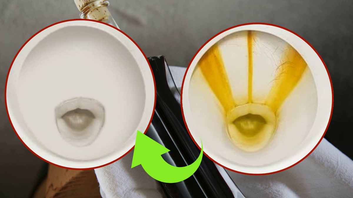 Voici Comment utiliser le Vinaigre blanc dans les toilettes, astuce de grand-mère !