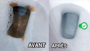 L’Astuce Pour Détartrer le Fond de la Cuvette des WC SANS Effort !