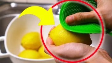 comment-avoir-toujours-des-citrons-frais