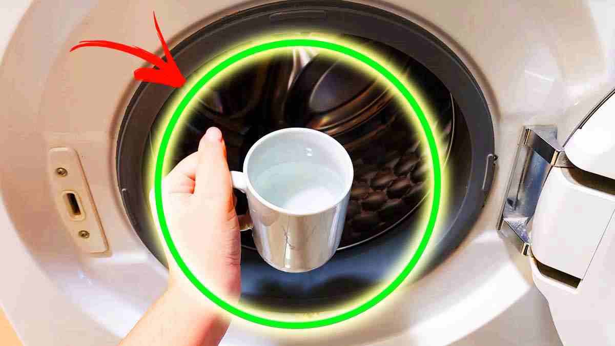 Comment nettoyer en profondeur une machine à laver
