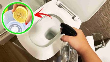 comment-nettoyer-les-toilettes-naturellement-et-les-laisser-parfumer