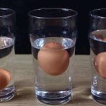 Comment savoir si un œuf est bon