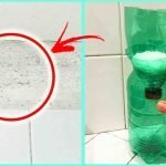 Comment sécher une maison humide avec la méthode de la bouteille