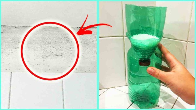 Comment sécher une maison humide avec la méthode de la bouteille
