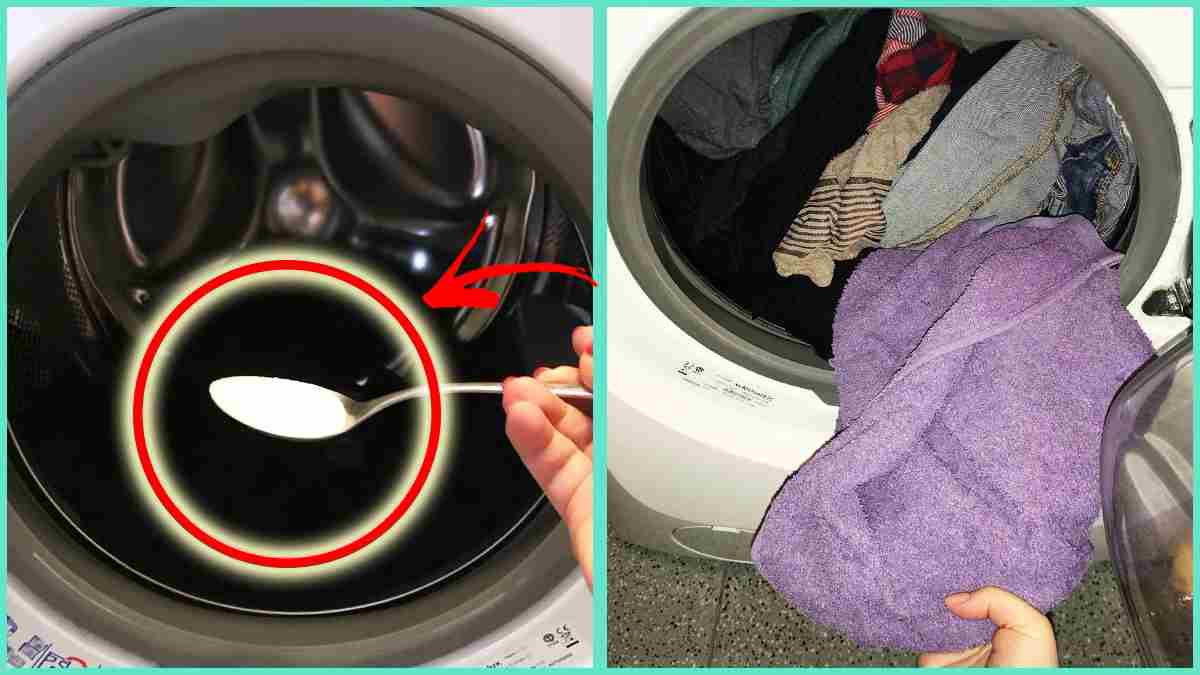 Voici des puissantes astuces pour conserver le linge parfumé dans la machine à laver même en hiver