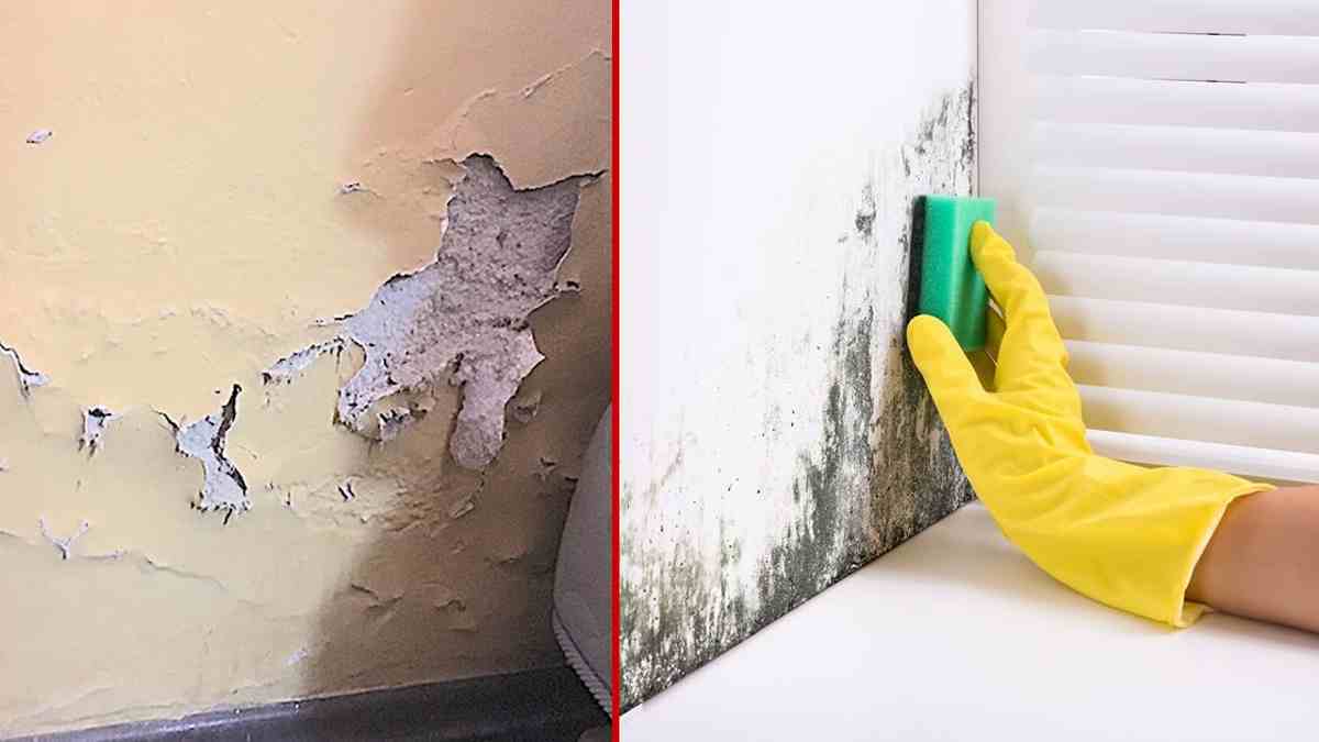 Comment enlever l'humidité dans les murs et ne jamais la laisser revenir
