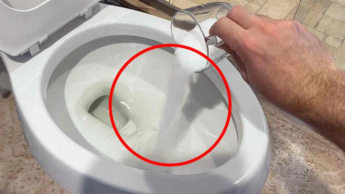 problèmes des toilettes avec du sel