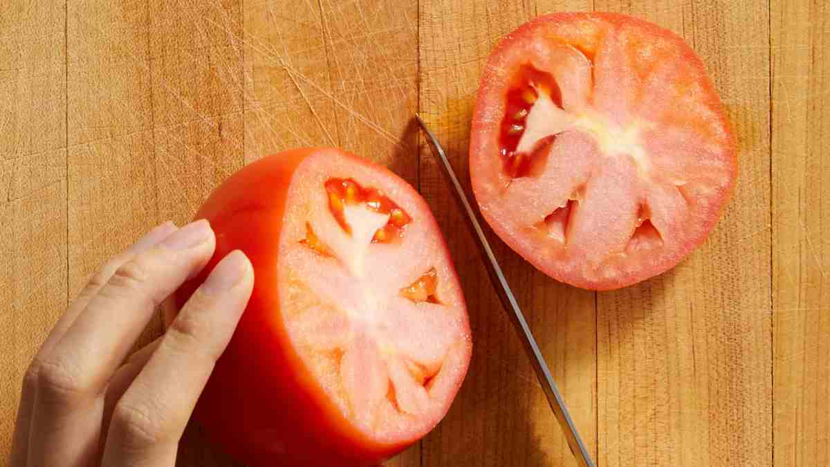 planter des tomates sans faire de gâchis