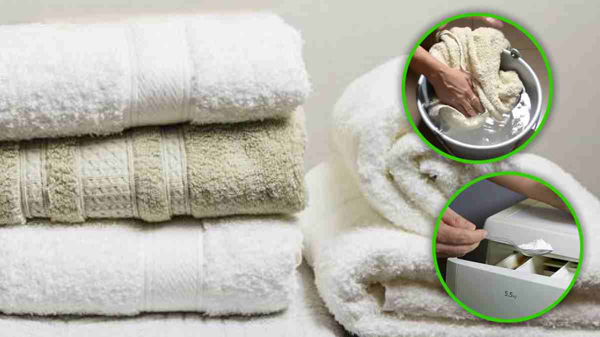 Découvrez le secret de l'hôtel pour toujours avoir des serviettes super douces