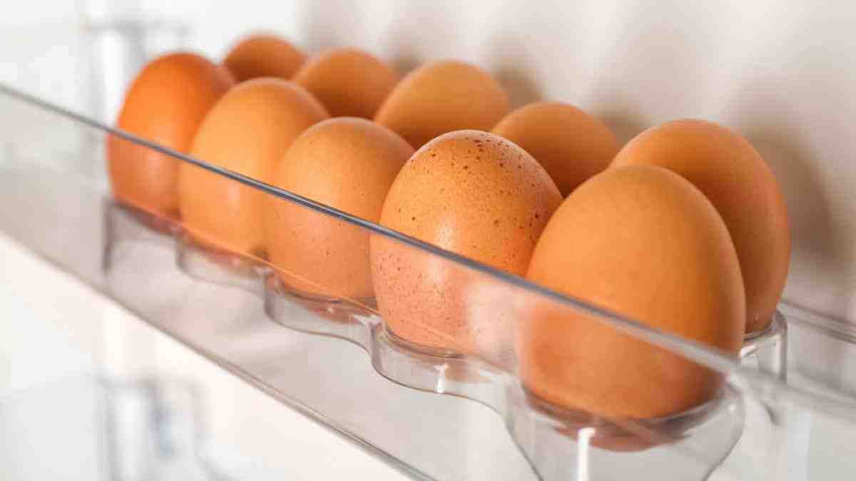 mettre d’œufs dans la porte du réfrigérateur