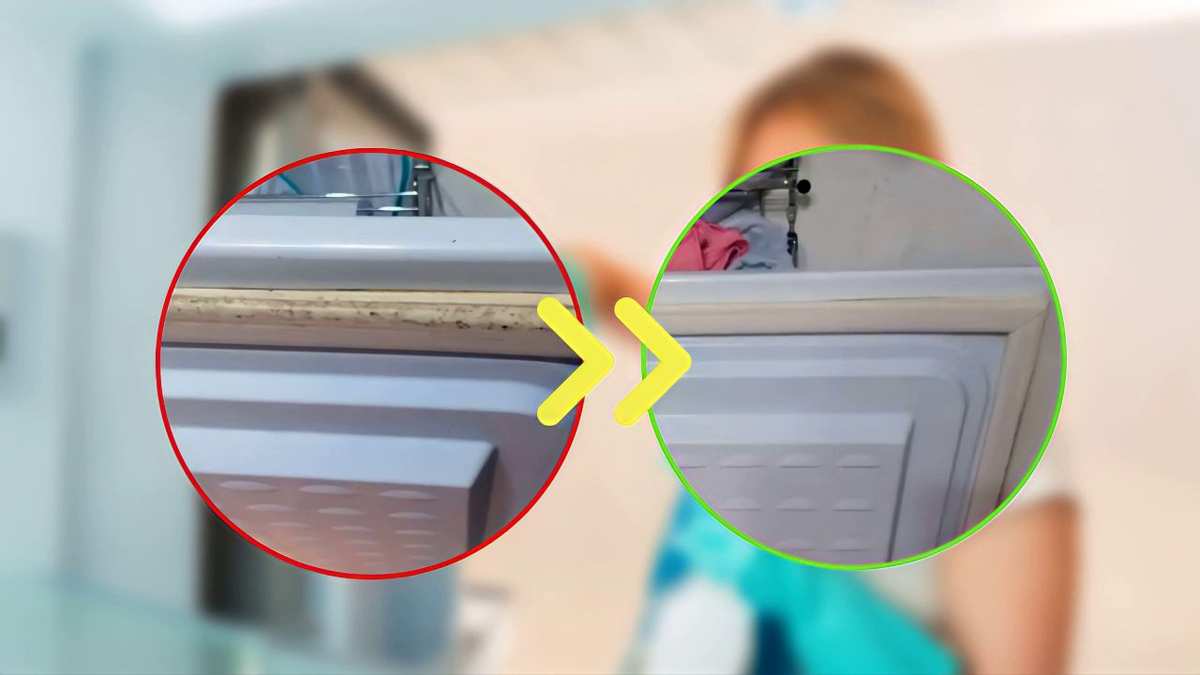 Guide pour désinfecter efficacement les joints du réfrigérateur