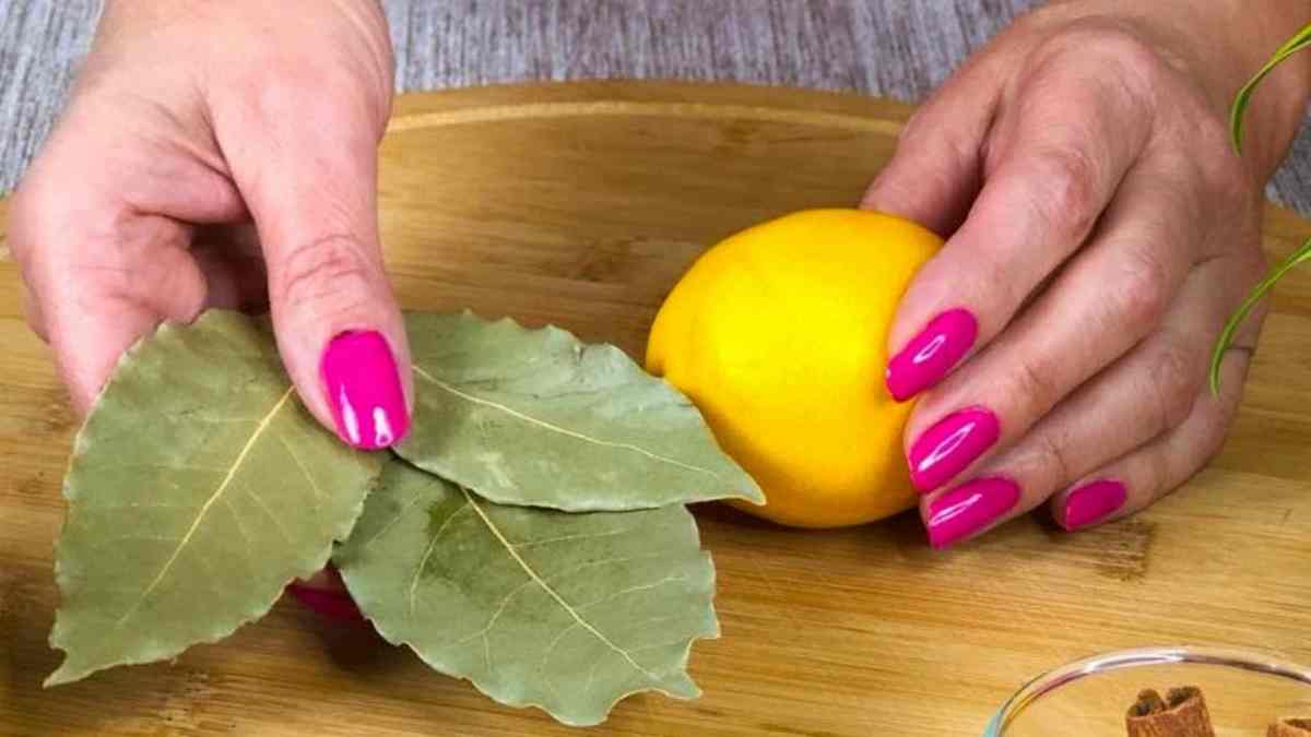 bénéfique de mettre du citron et du laurier ensemble