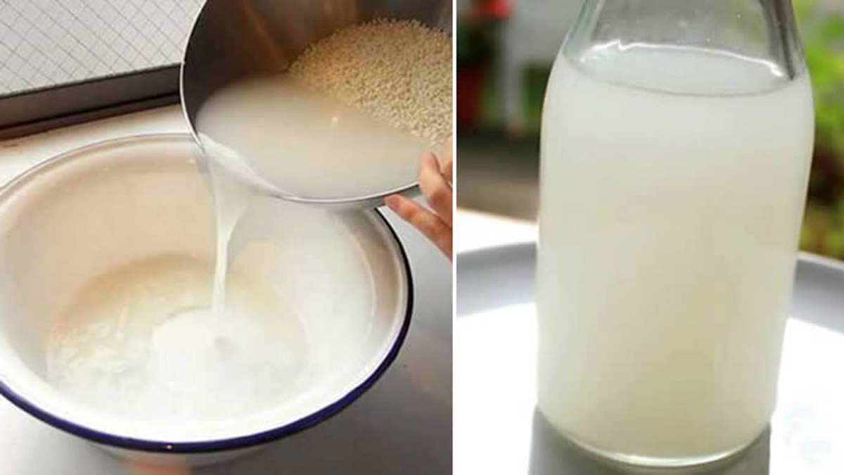utilisations et propriétés de l'eau de cuisson du riz