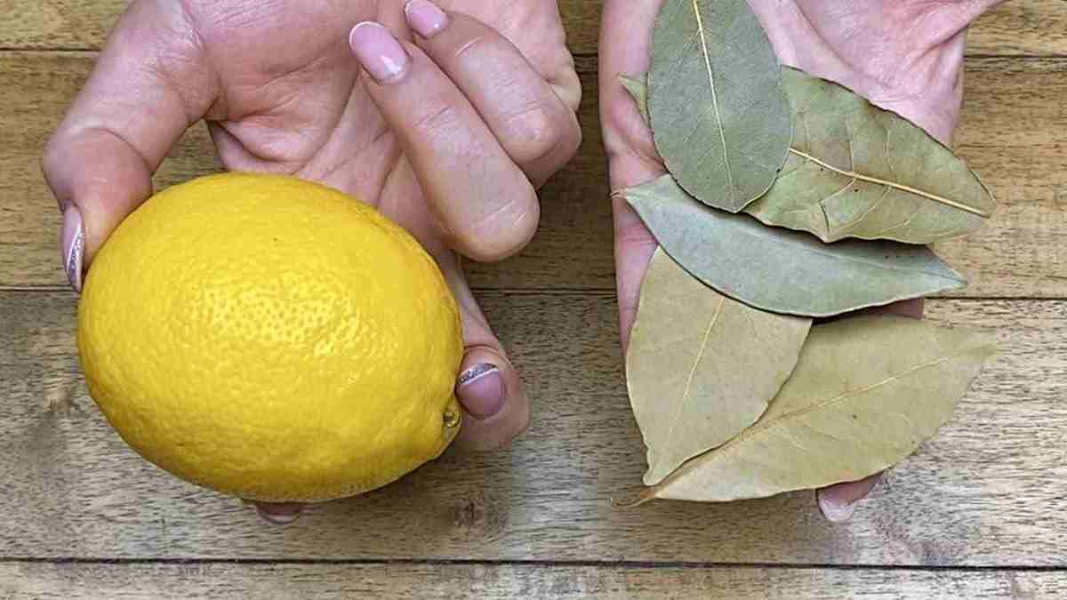 Combinez les feuilles de laurier et le citron
