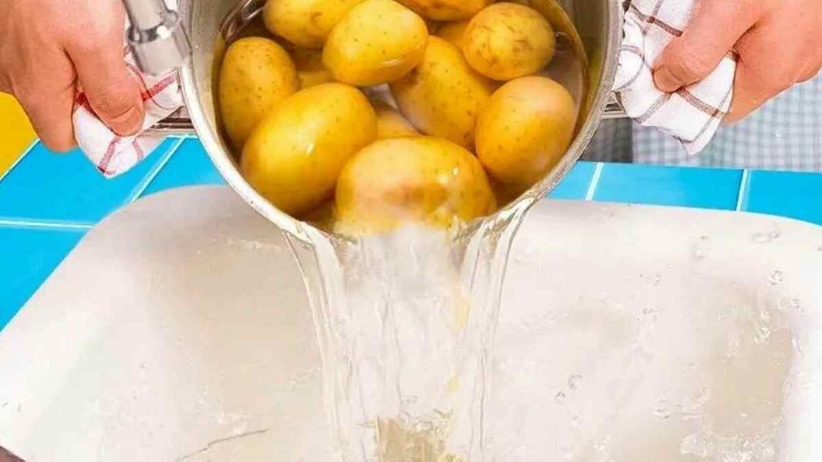 ne pas verser l’eau des pommes de terre dans l’évier