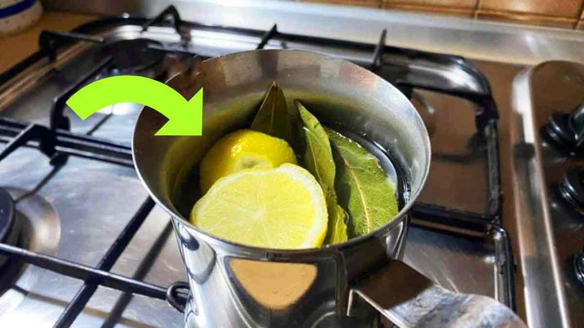Faire bouillir du citron et des feuilles de laurier