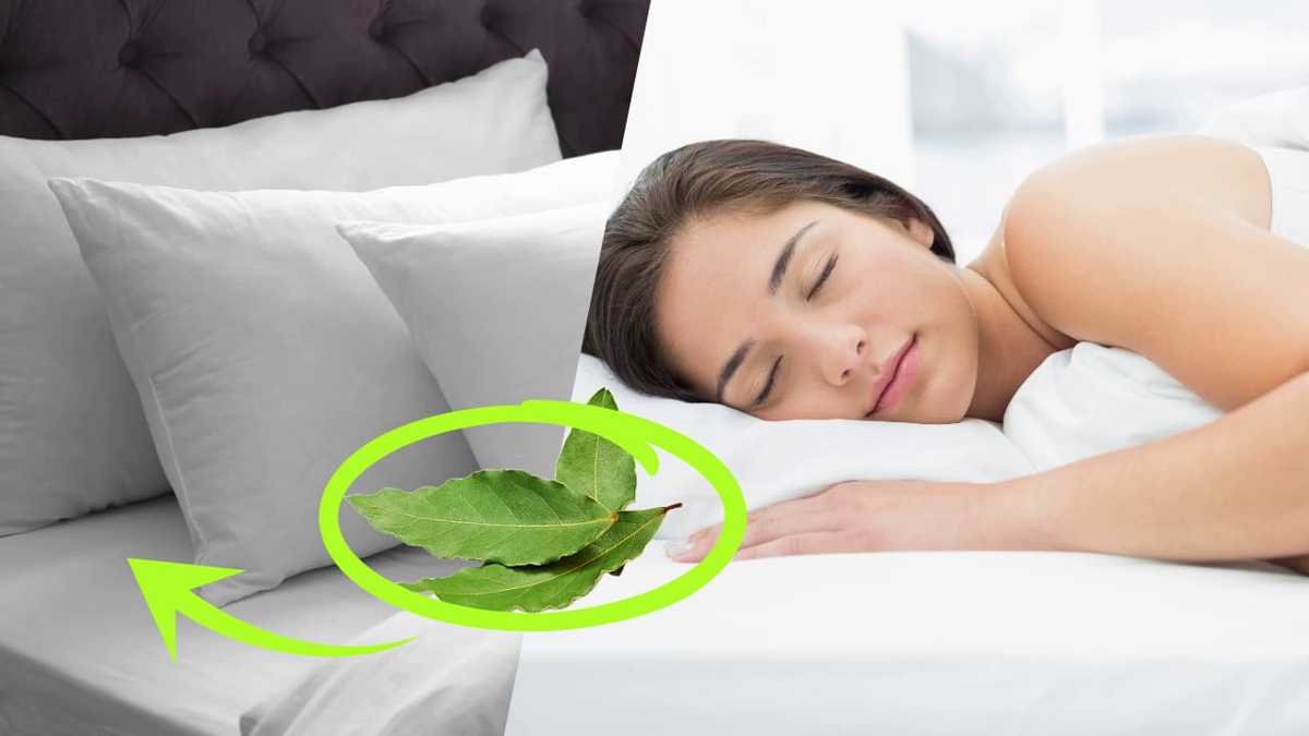 Mettez une feuille de laurier sous votre oreiller avant de dormir