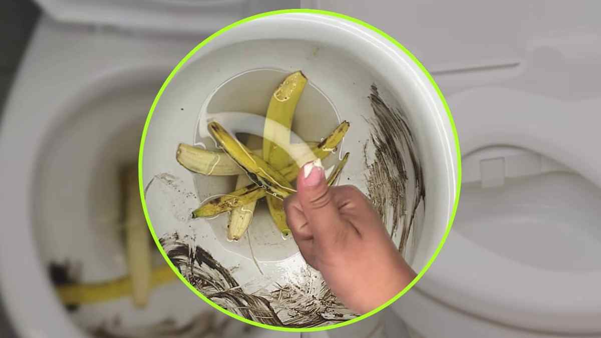 Peau de banane dans les toilettes