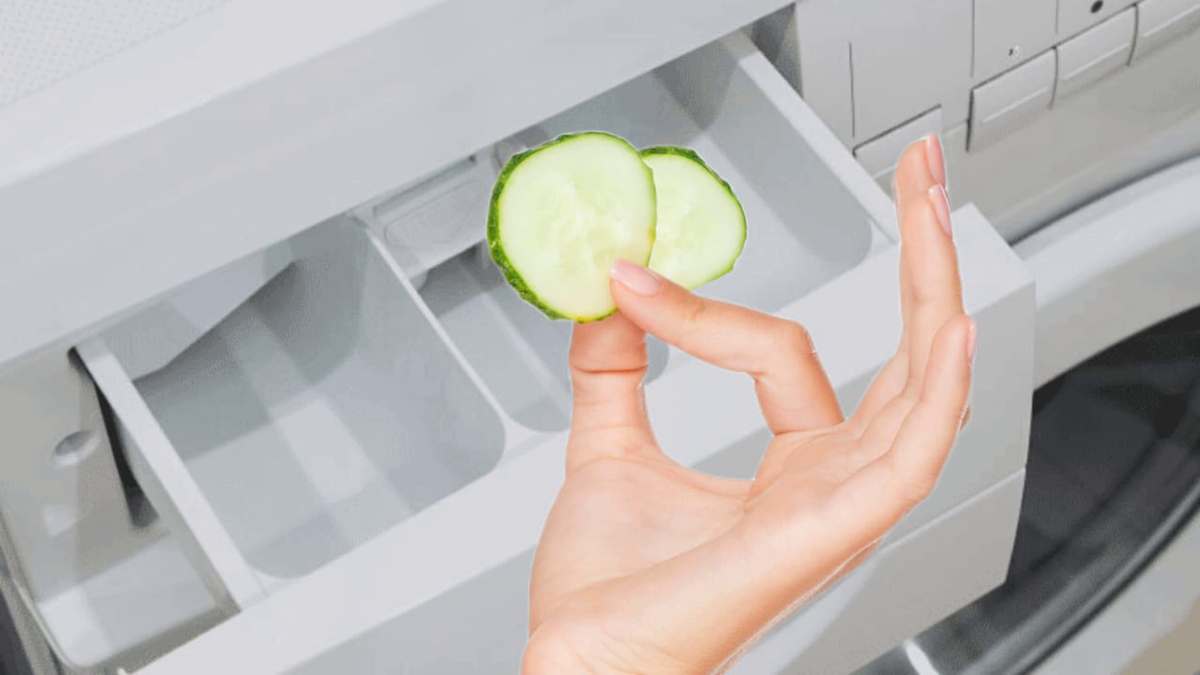 Mettez 2 tranches de concombre dans la cuve de la machine à laver
