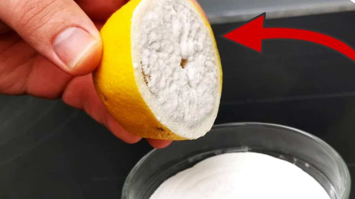 Frotter la cuisinière avec un demi-citron