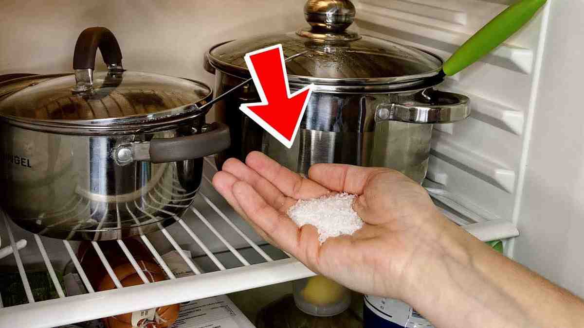 Mettez une pincée de sel dans le réfrigérateur