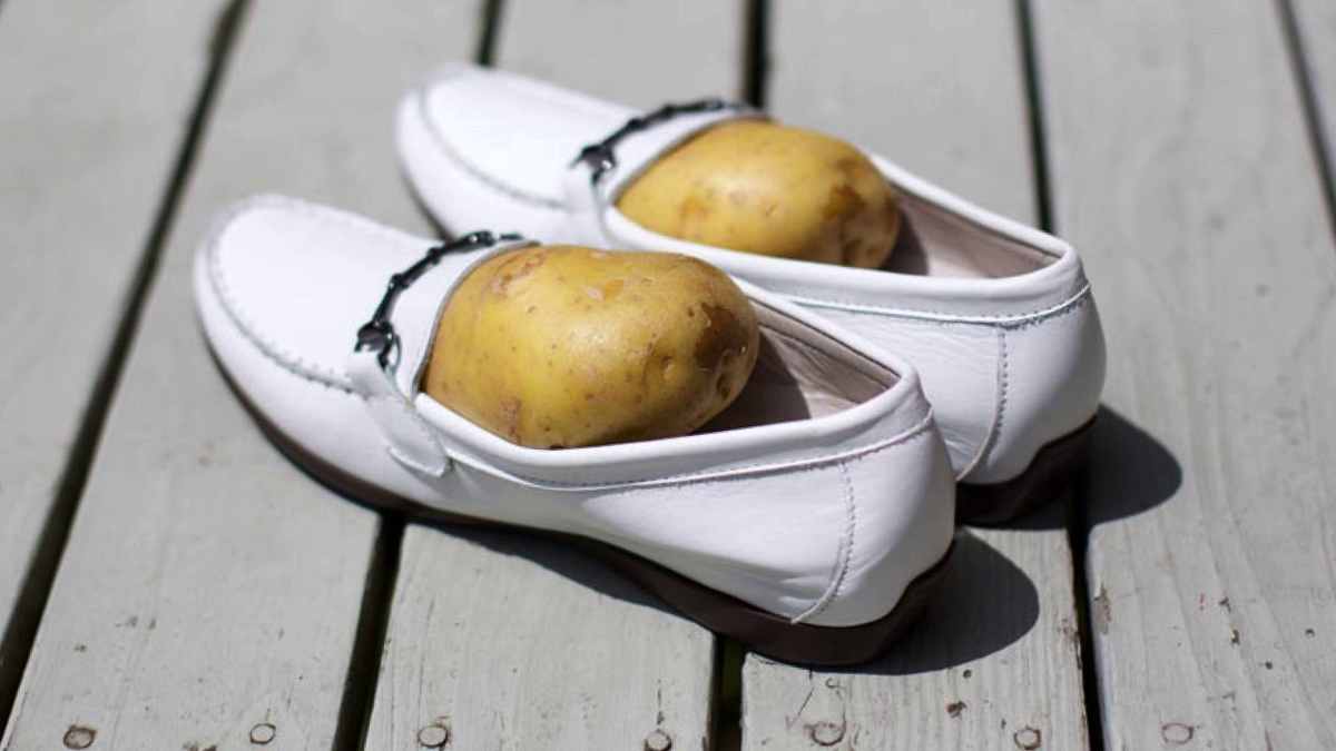 pomme de terre dans sa chaussure