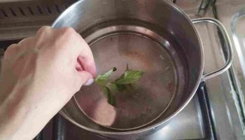 Faire bouillir 3 feuilles de menthe dans une casserole