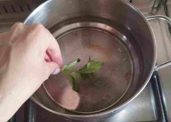 Faire bouillir 3 feuilles de menthe dans une casserole