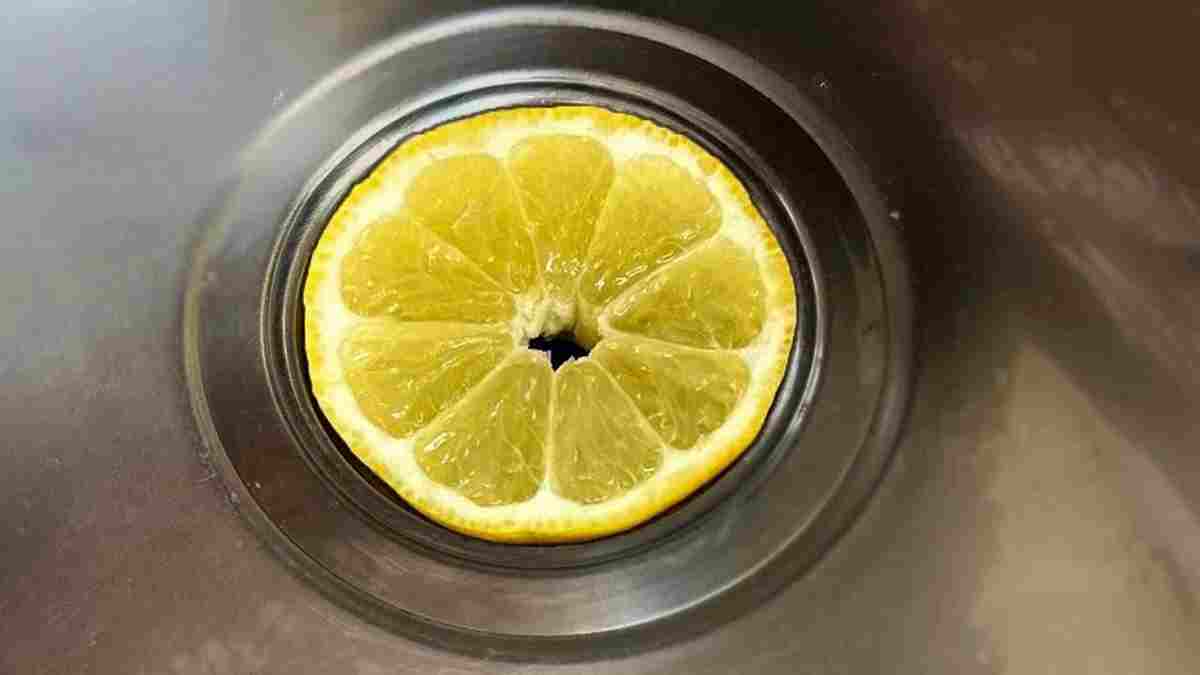 citron dans la canalisation