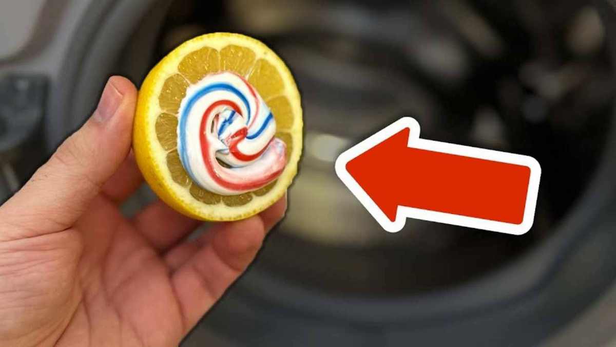 Citron et dentifrice dans la machine à laver
