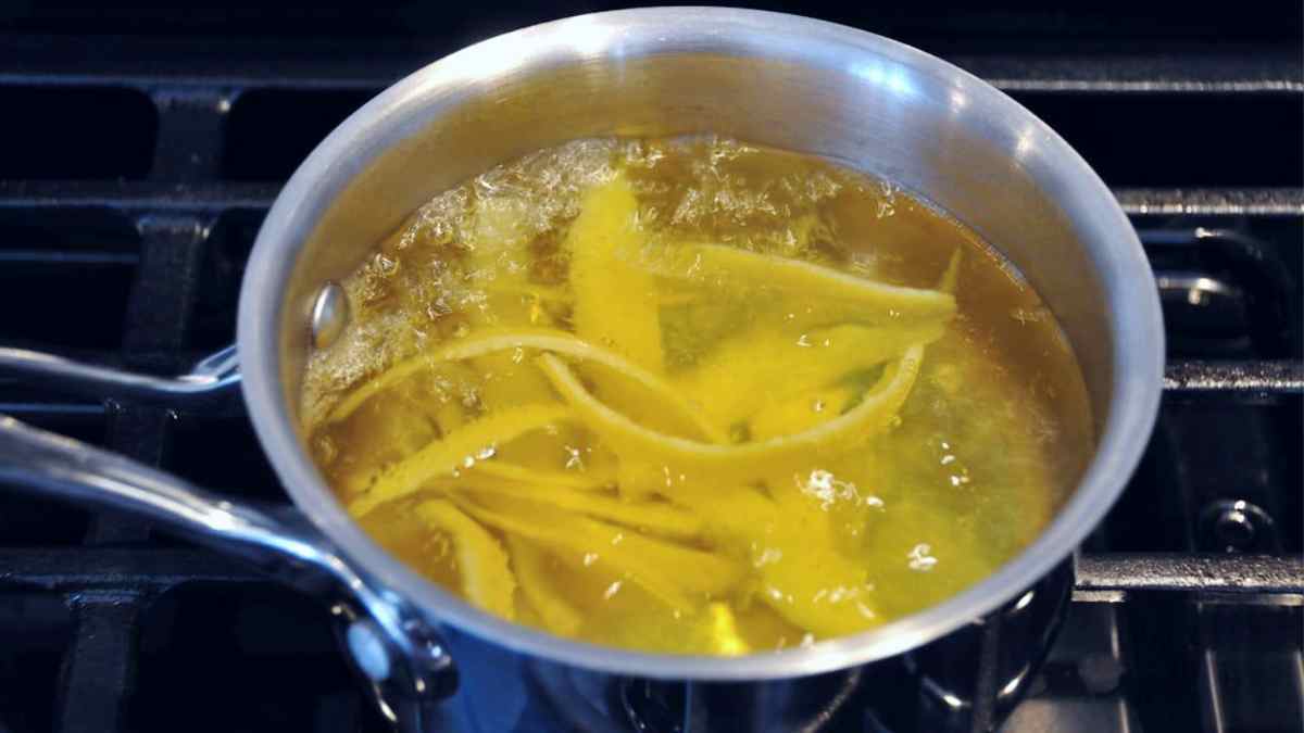 Faites bouillir des écorces de citron
