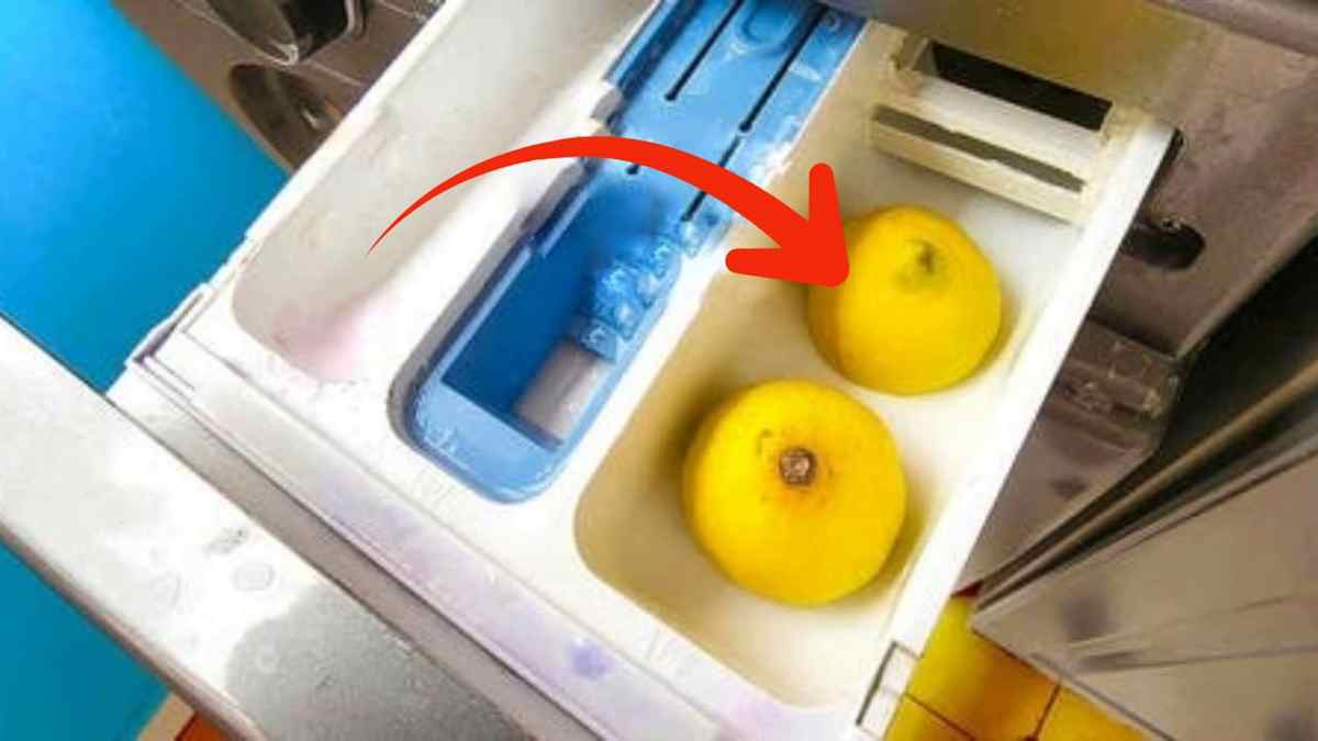 Mettez 2 citrons dans la bac de la machine à laver