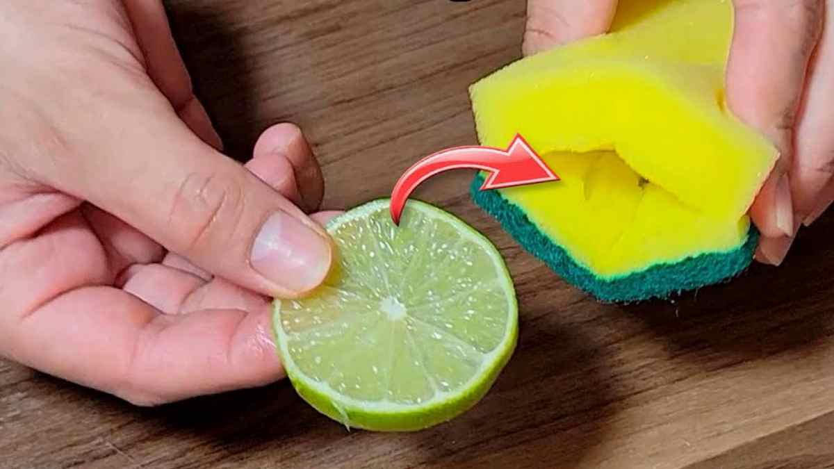 Mettez une tranche de citron dans l'éponge à vaisselle