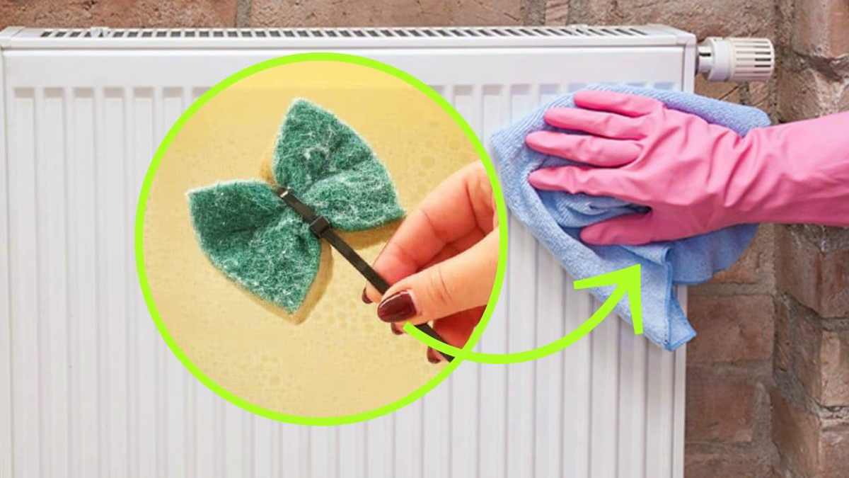 Radiateurs comment les nettoyer avec la méthode papillon
