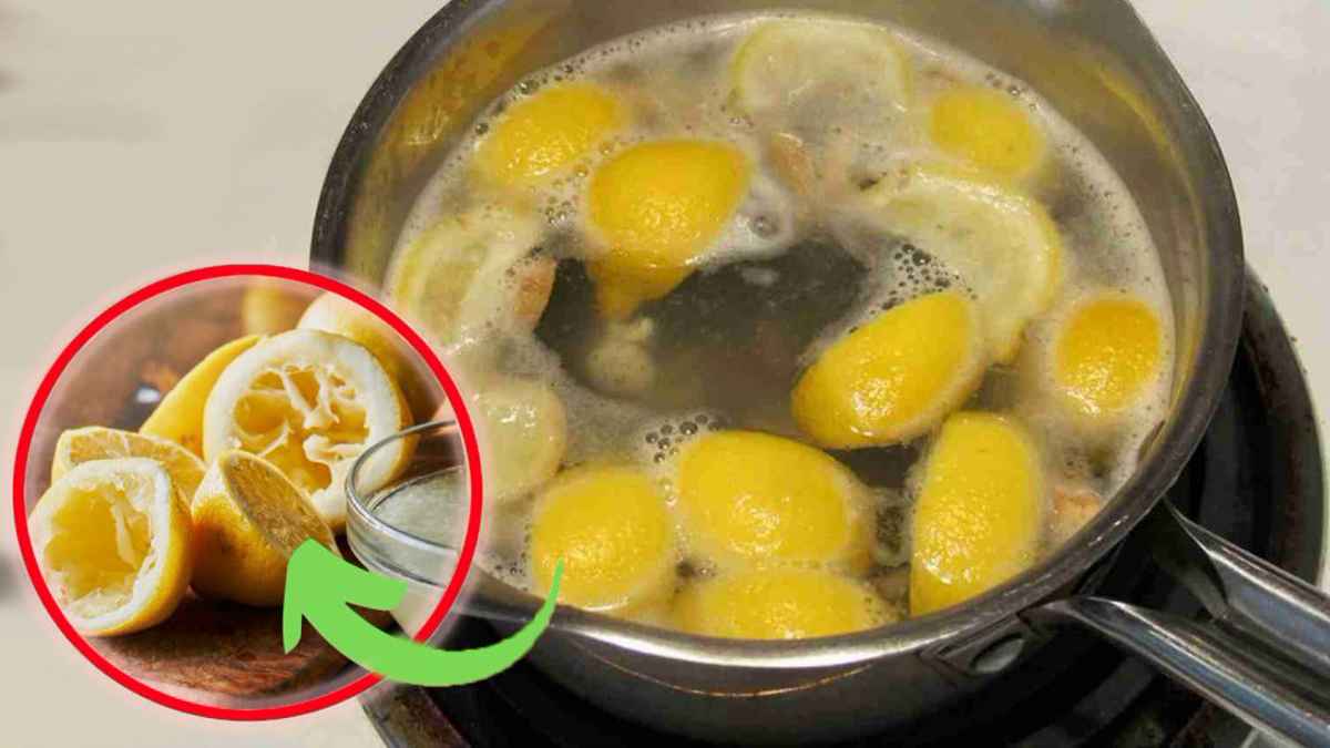 Bouillir les citrons pressés