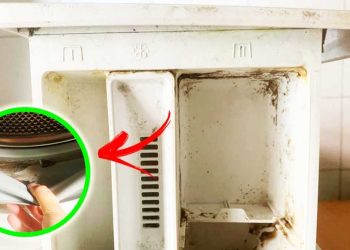 3 astuces de bricolage pour éliminer immédiatement la moisissure de toutes les parties du lave-linge
