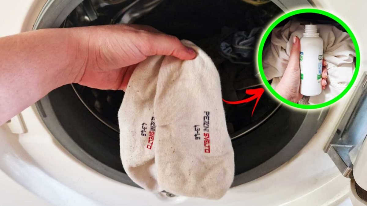 Chaussettes noircies ? comment les blanchir immédiatement avec une astuce de machine à laver
