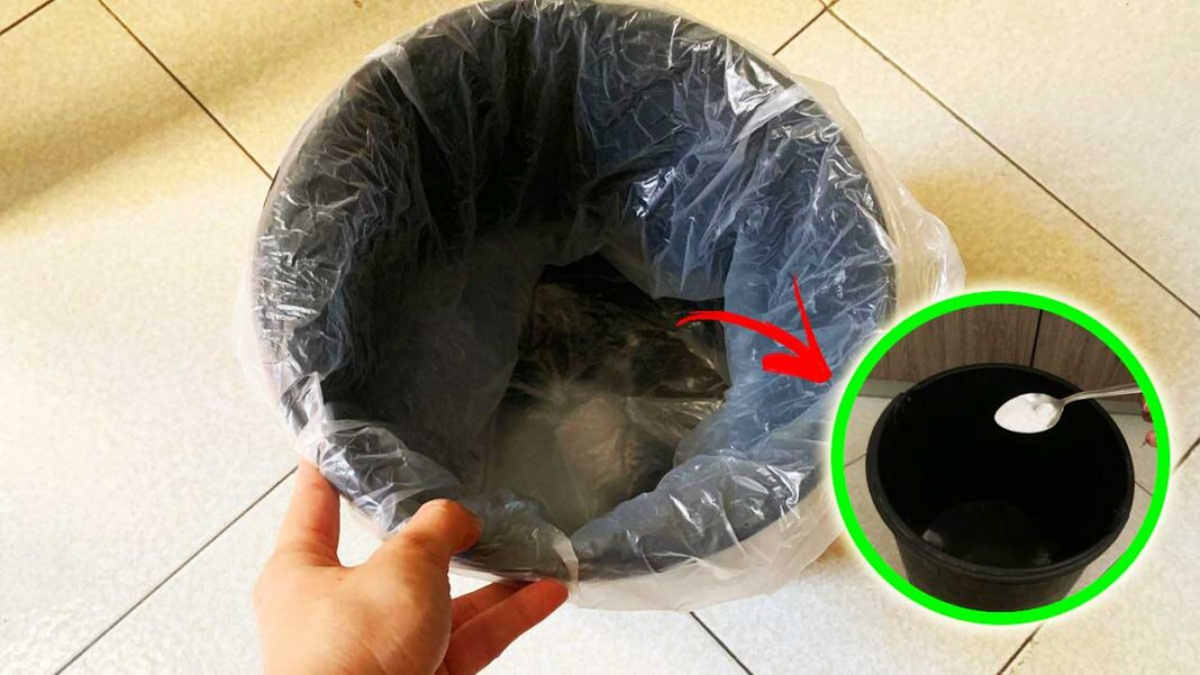 Comment éliminer les mauvaises odeurs de la poubelle avec des remèdes naturels