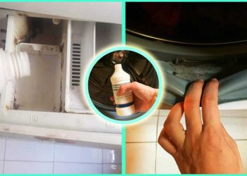 Le peroxyde d'hydrogène permet d'éliminer les moisissures de toutes les parties de la machine à laver.