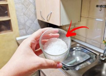 Un seul verre de sel gemme dans la maison aide à résoudre 5+1 problèmes quotidiens