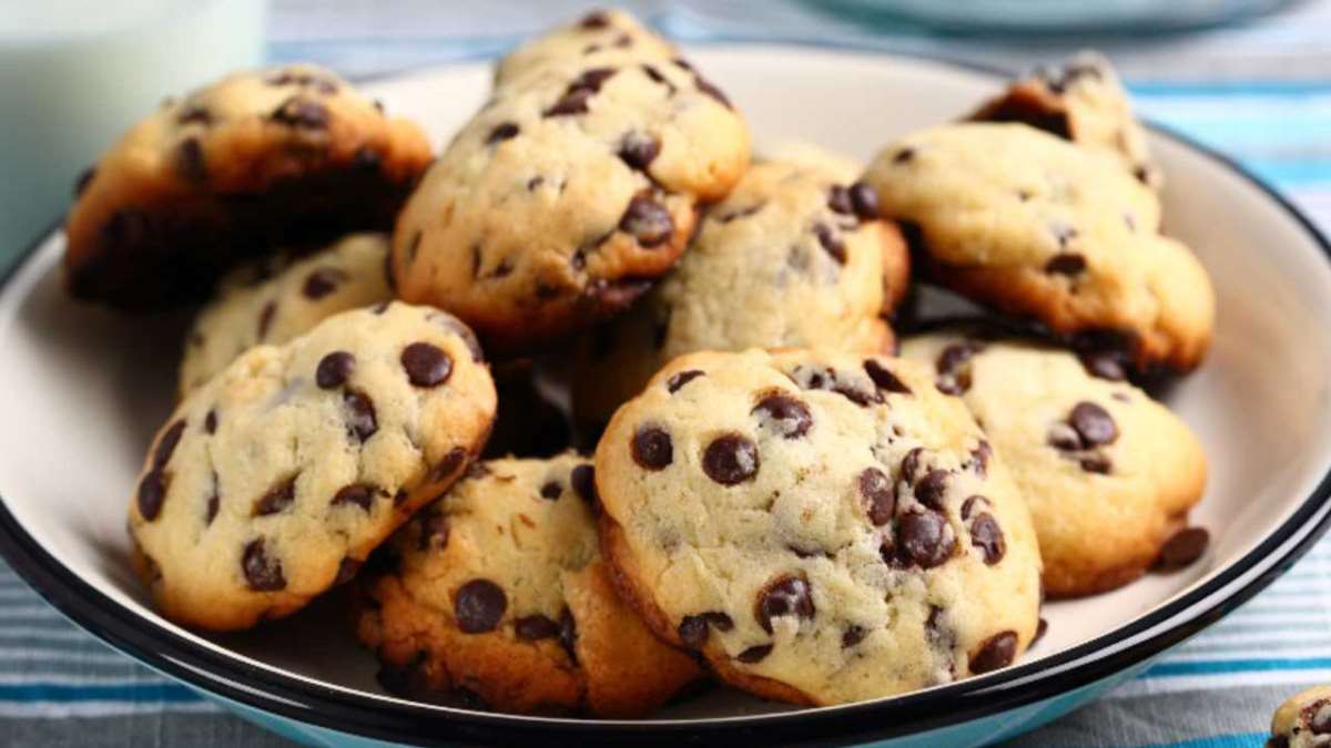 Biscuits aux pépites d'albumine et de chocolat
