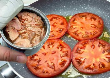 tomate et une boîte de thon