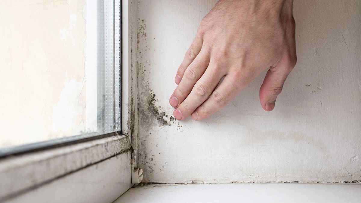 éliminer les moisissures sur les fenêtres