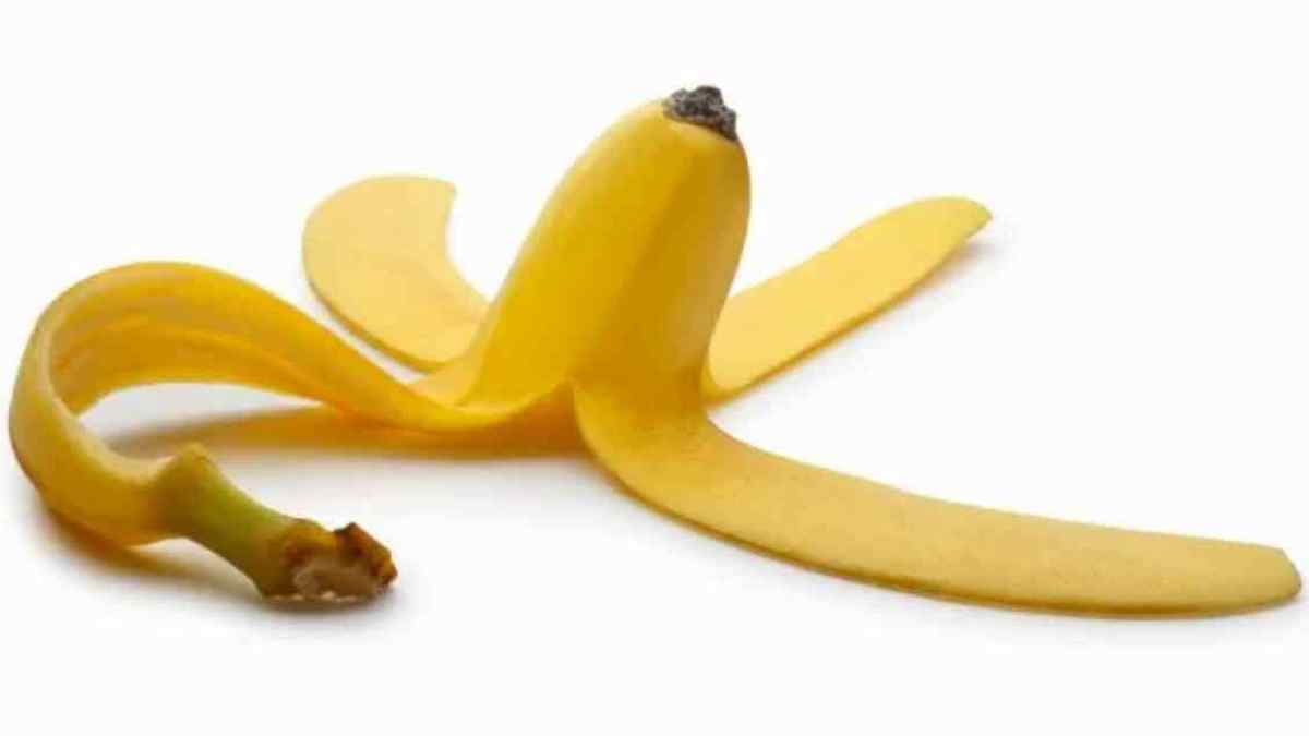Ne jetez pas les peaux de banane