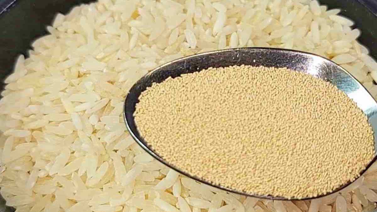 Pain de riz