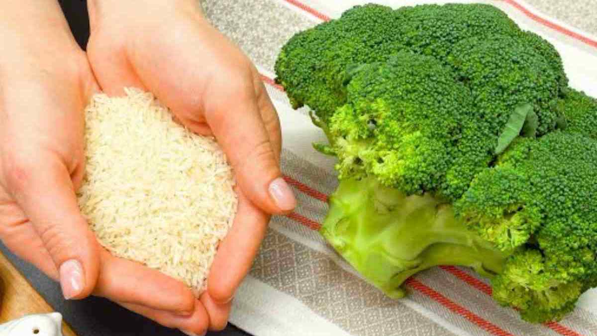 brocolis et du riz