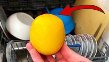 citron dans le lave-vaisselle